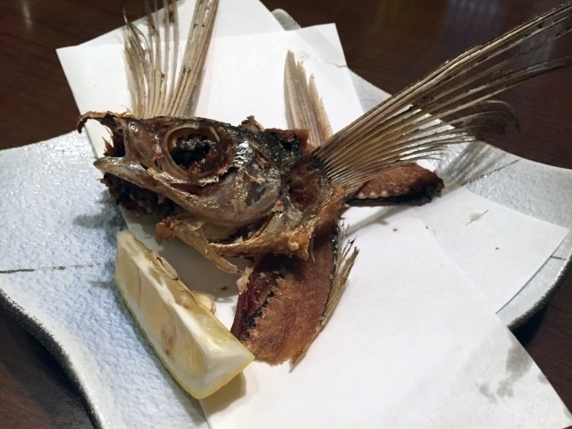 トビウオ.jpg トビウオ.jpg