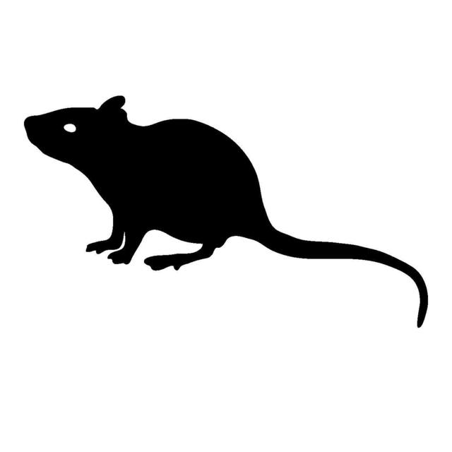 ネズミ.jpg