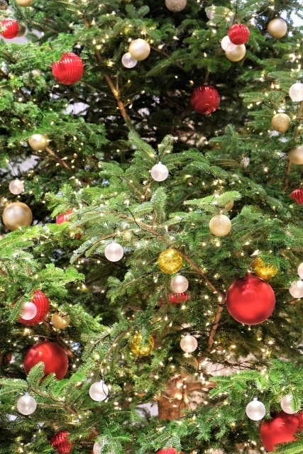 メリークリスマス.jpg